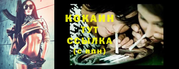 гашик Наволоки