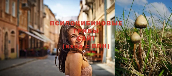 СК Губаха