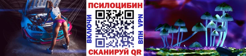 Галлюциногенные грибы мухоморы  кракен маркетплейс  Каменка  магазин  наркотиков 