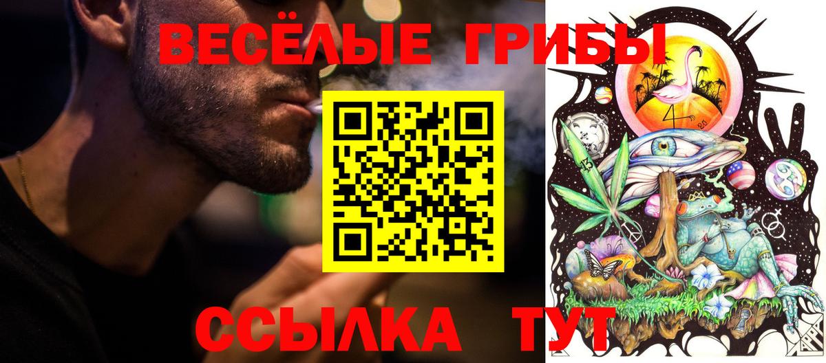 Псилоцибиновые грибы Cubensis  Каменка 