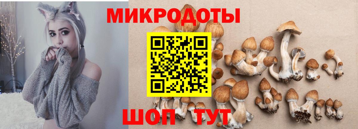 дарнет шоп  Галлюциногенные грибы GOLDEN TEACHER  Галлюциногенные грибы Cubensis  Вход с VPN  Каменка 