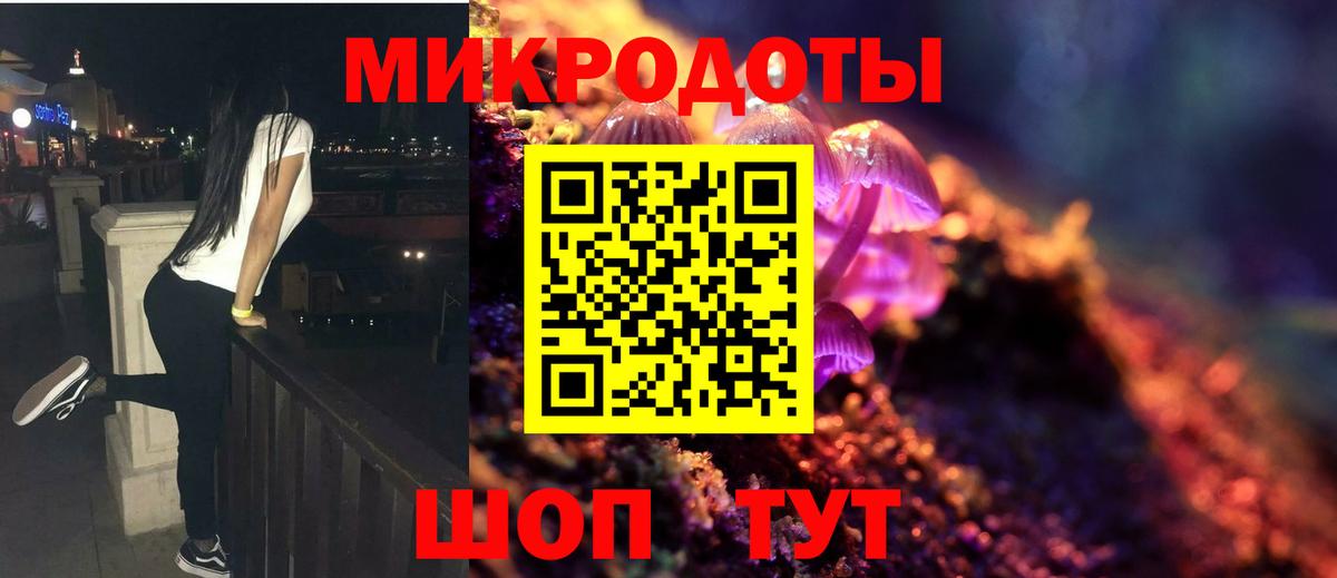 Галлюциногенные грибы MAGIC MUSHROOMS Каменка